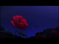 SWV Anything 15 Minute Loop 𝓼𝓵𝓸𝔀𝓮𝓭 𝓻𝓮𝓿𝓮𝓻𝓫