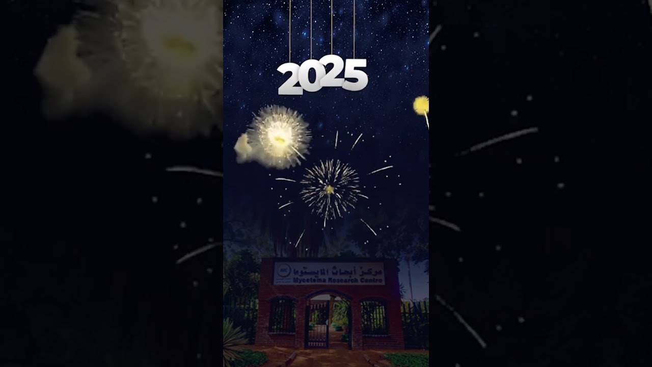 Haapy New Year!