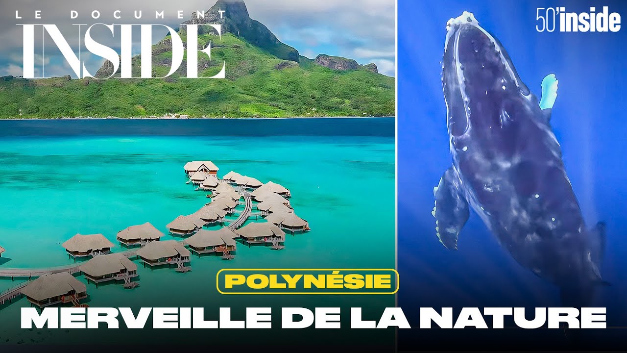 Polynésie, un paradis bleu | 50’Inside | Le Doc d'Inside
