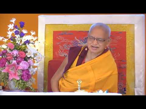 20190608 2030 LZR IVY FRANCE - About bodhicitta and when having depression cherishing others helps