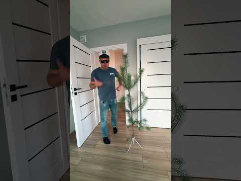 Co to jest ! Halina Zła