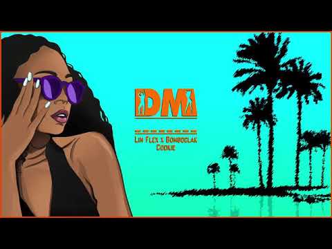 Lin fleX ft dj samsam - bomboclak cookie
