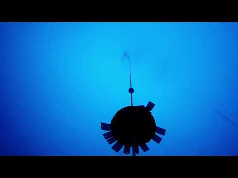 Philippine National record women's CWT 42m (May 24, 2018)