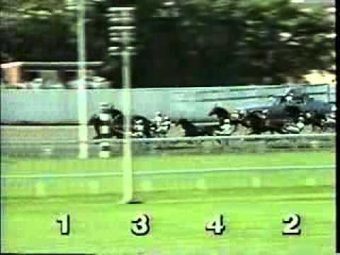 Hambletonian 1992 -Alf Palema