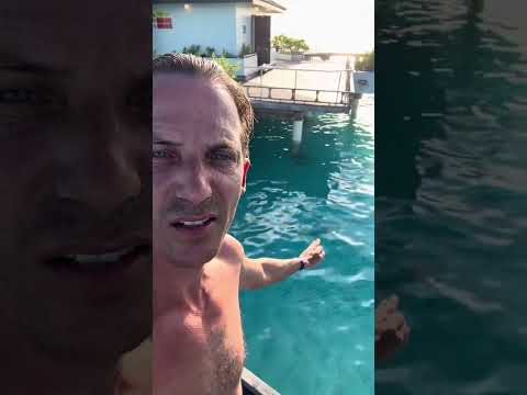 Ivan Panic - Maldivi 2025