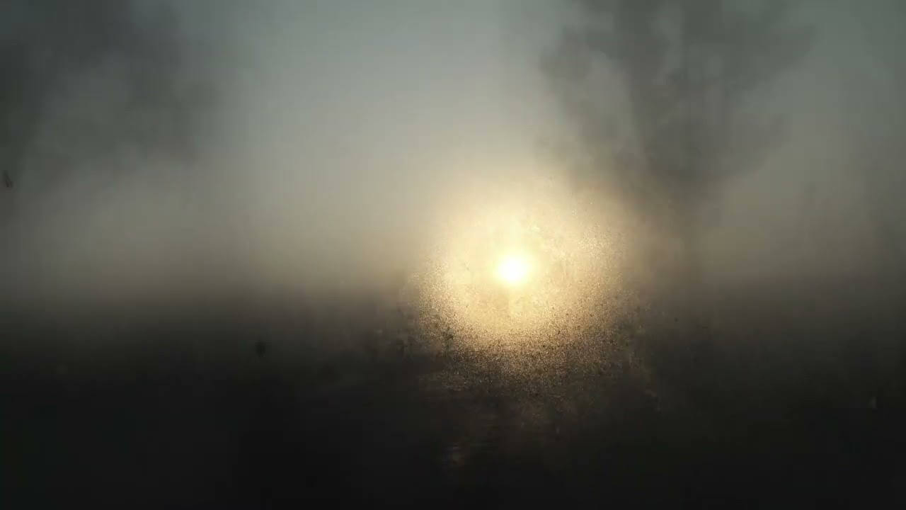 Layered Creases - TRAILER