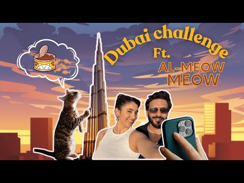 Dubai's cat hunt- Can we feed  them all?