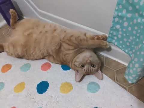 McGee rolls on his back