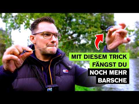 BARSCHANGELN im Oktober – So fängst du jetzt 🎣 ✅