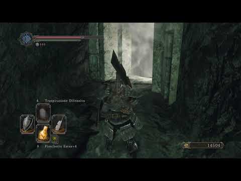 Autorità Reale Dei Topi