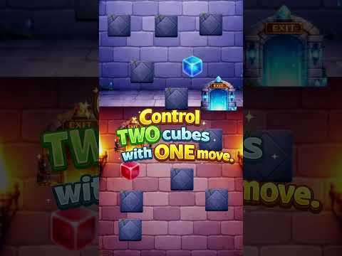Mirror Move: Logic Challenge
