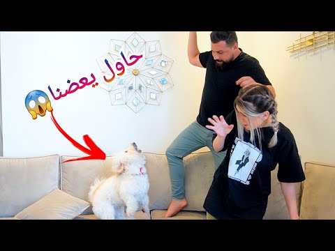 أخيراً روكسي وصل عالبيت😍 هجم علينا😱