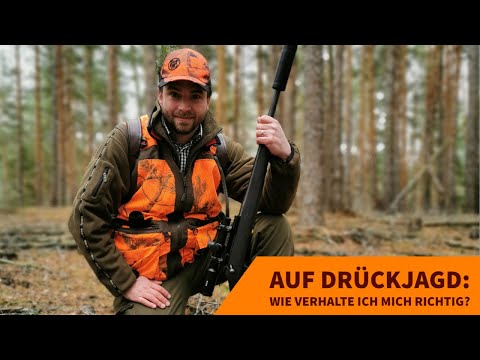 passion: Was sollten Sie auf einer Drückjagd beachten? Tipps zu Verhalten und Ausrüstung bei Drückjagden