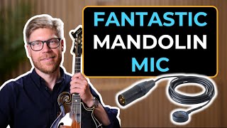 The Best Mandolin Mic For FX - Schertler DYN-M P48
