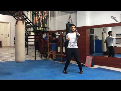 Biu Tze form | Wing Chun | Enes Koc