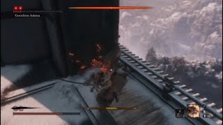 Elite + Genishiro ng+