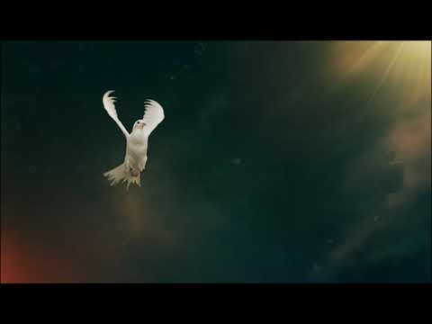 Dallas X Λογοπαθής - Φανέλα