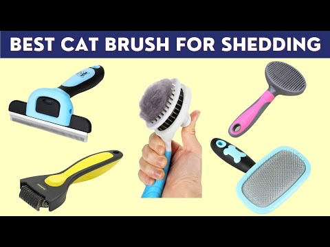 Best Cat Brush for Shedding (Cat Grooming Brush on...