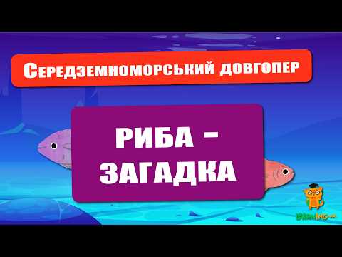 🍀 Дива природи. Явища навколо нас. Середземноморський довгопер 🌏