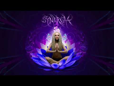 DJ Synergia — Mantras For My Generation