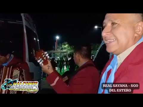 Los Halcones Del Chamamé - En Real Sayana (Santiago Del Estero) 2025 🎶🎼🎵♩