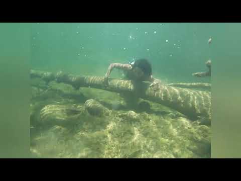 Mermaid Swimming the Frio River [ Mertailor Water Lily ]