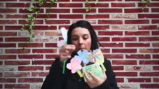 Crea tu propio jardín desde casa