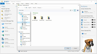 How to unzip a zip file with WinZip