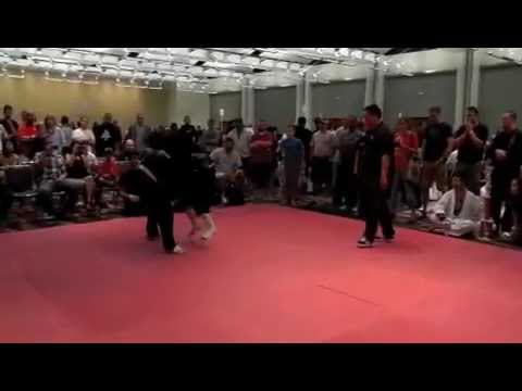 Hybrid Fighting 2012 CNE2012HFA19