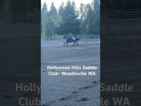 Hollywood Hills Saddle Club video thumbnail