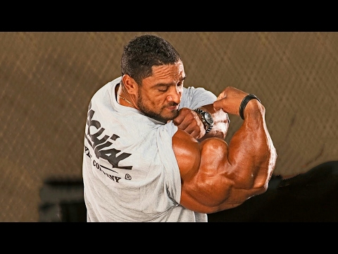 Roelly Winklaar - The Best Arms In Bodybuilding History