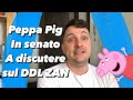DDL ZAN La Lista Degli Esperti Chiamati