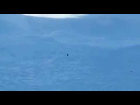 Discesa Robert Antonioli