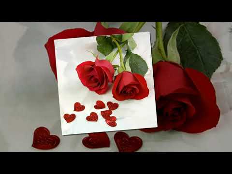 Thể hiện bởi Ngọc Lê