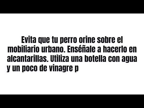 Sensibilización limpieza excrementos y orines caninos