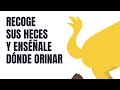 Sensibilización limpieza excrementos y orines caninos