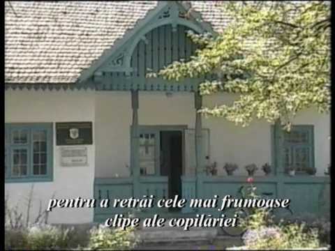 Nicolae Labis la Malini