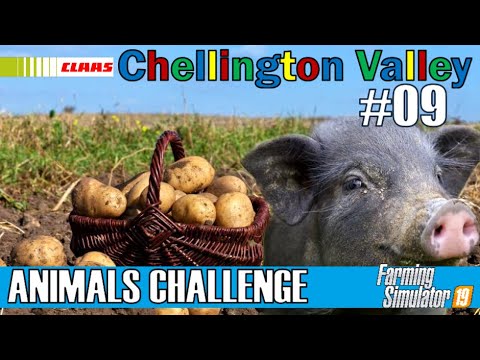 Potatoes for the Pigs | ANIMALS CHALLENGE #09 | CHELLINGTON VALLEY | FS19 | PS4