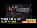MENDADAK TERKENAL SETELAH TERBEBAS Alur Cerita Film American Pikcle 2020