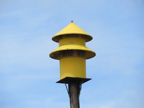 Federal Signal Model 7 | Full Alert | Polk, OH | 7/3/19