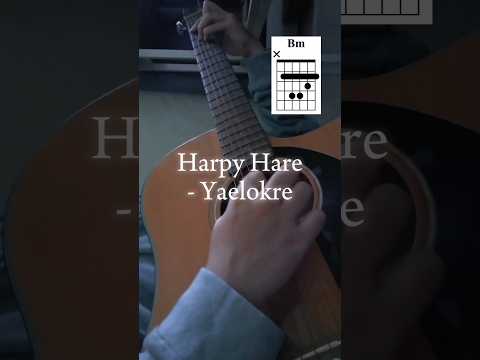 Harpy Hare - Yaelokre