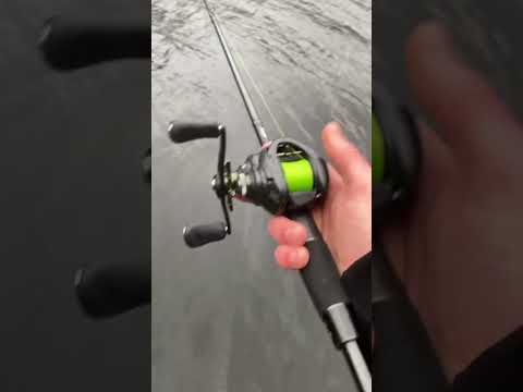Baitcaster for the win!!!! 🔥🙏🎣 #angeln #fishing  #deutsch #barsch #german #shorts