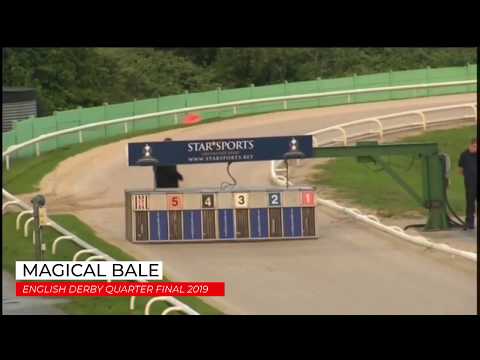 Magical Bale - English Derby Quarter Final 2019