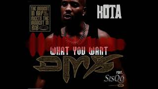 DMX - What They Really Want? (Clean) ft Sisqo [Official] [KOTA]