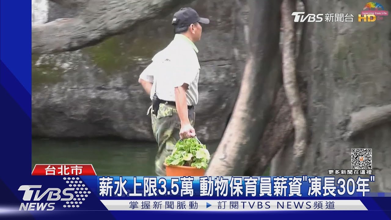 薪水上限3.5萬　動物保育員薪資「凍漲30年」