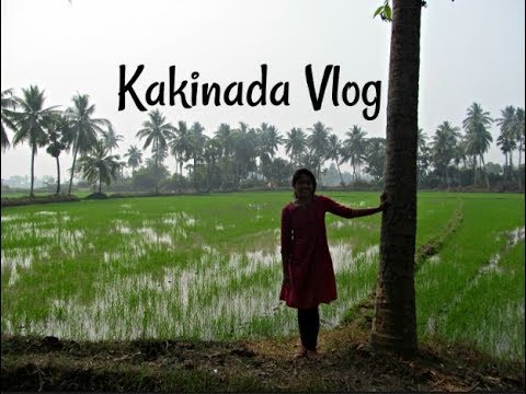 Kakinada Vlog | Coringa wildlife sanctuary | Temples | Beach festival