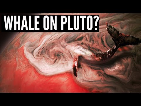 Erste echte Bilder von Plutos Oberfläche – Was haben wir entdeckt?