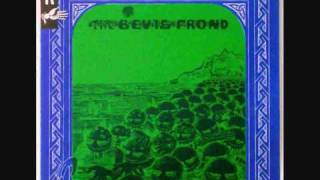 The Bevis Frond Confusion Days