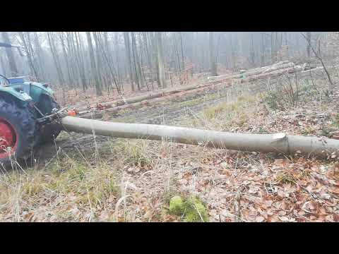 Deutz 4505 Holz schleppen leicht gemacht :)