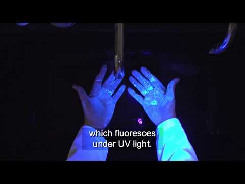 Proper Handwashing Technique